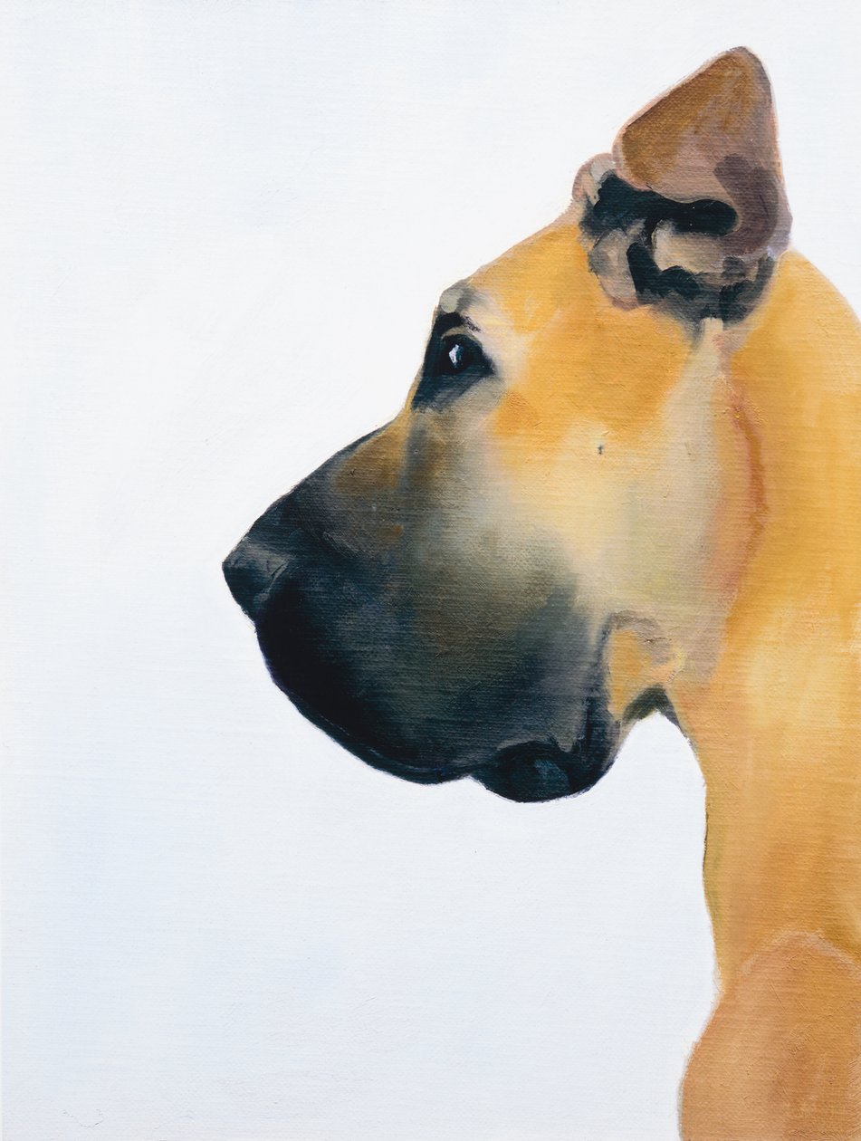 Dogue allemand, 2016 (huile sur carton) - Genevieve French