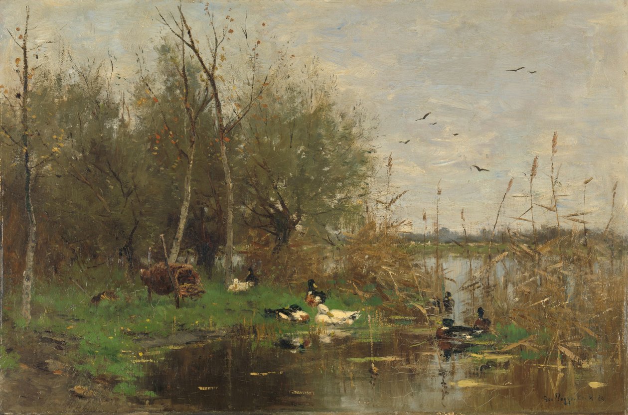 Canards à côté d