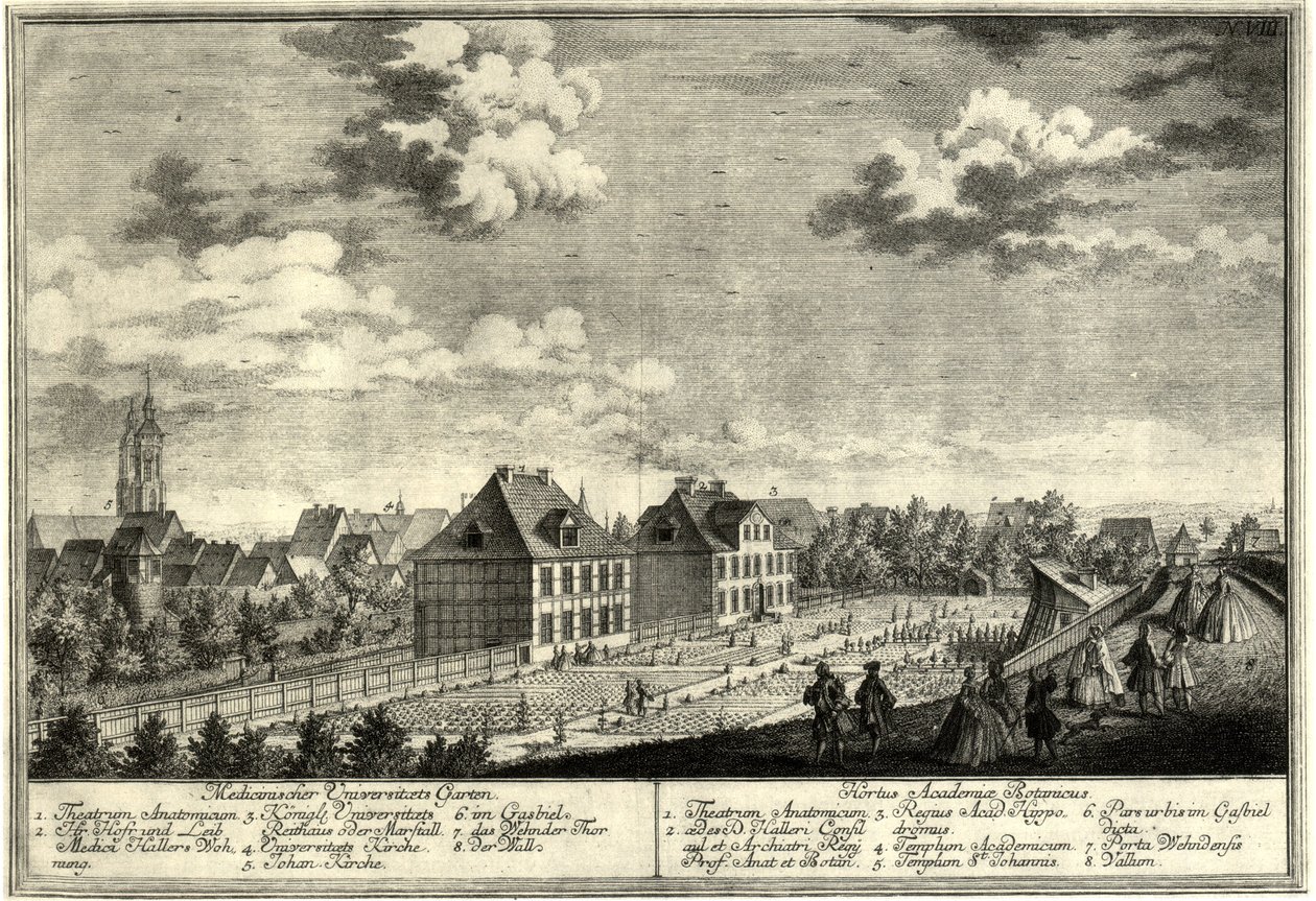 Ancien Jardin Botanique de Göttingen - Georg Daniel Heumann