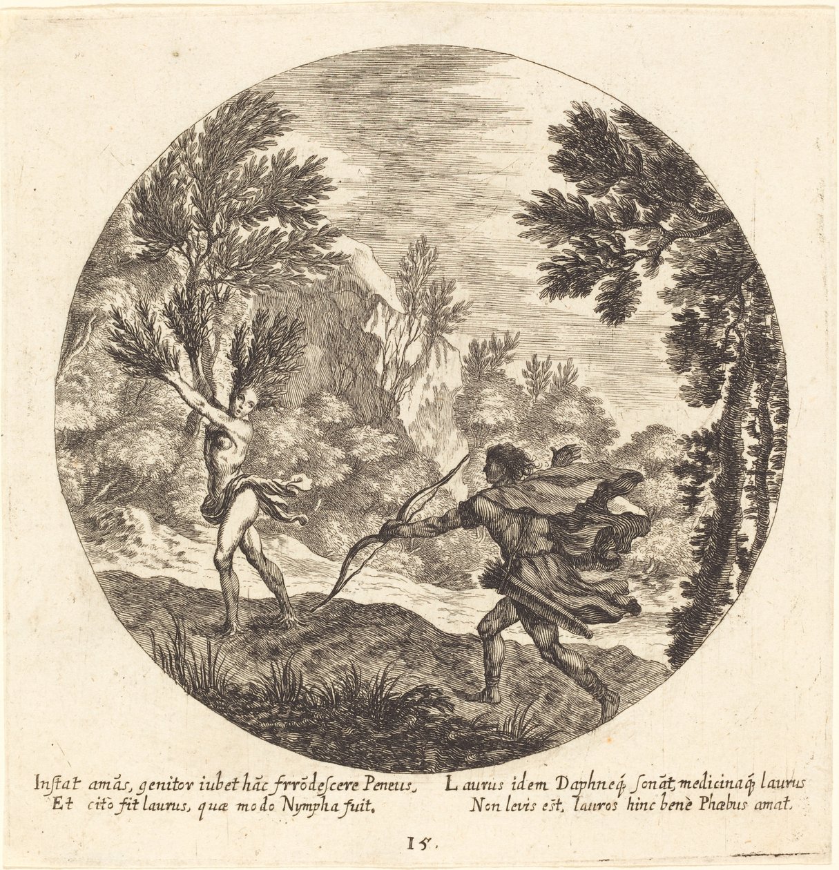 Daphné se transformant en laurier - Georg Andreas Wolfgang the Elder
