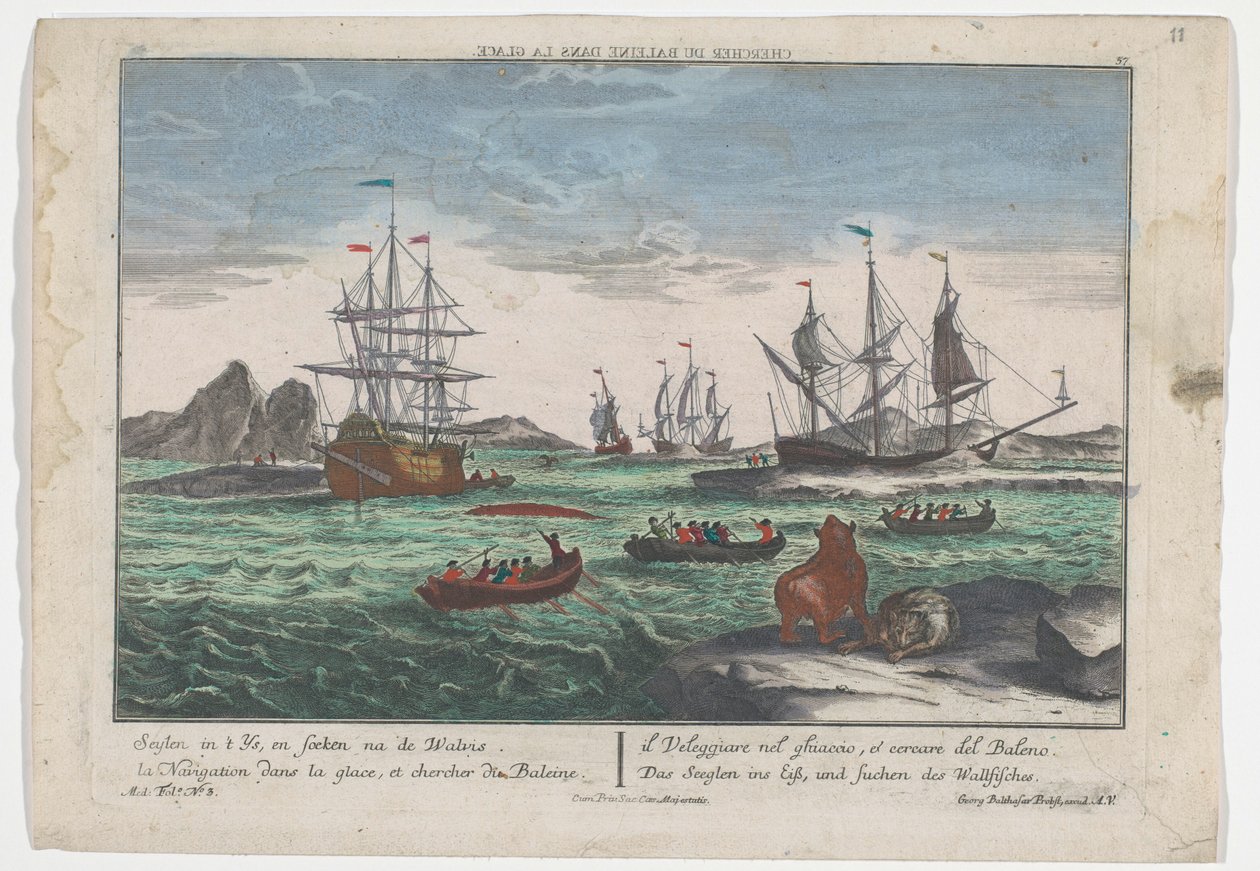 Vue de la recherche des baleines - Georg Balthasar Probst
