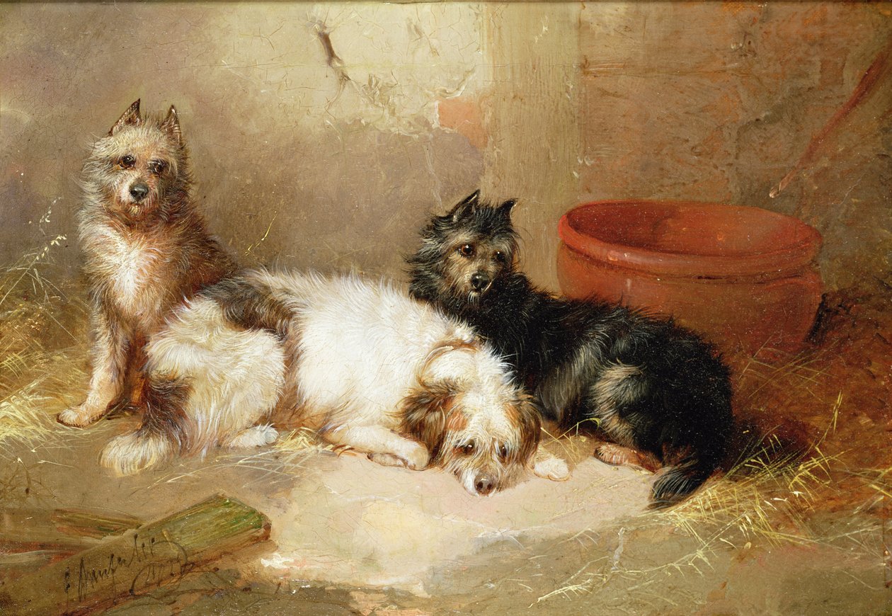 Trois terriers - George Armfield