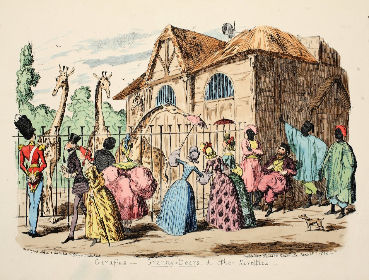 Girafes - Granny Dears et autres nouveautés, pub. 1886 - George Cruikshank