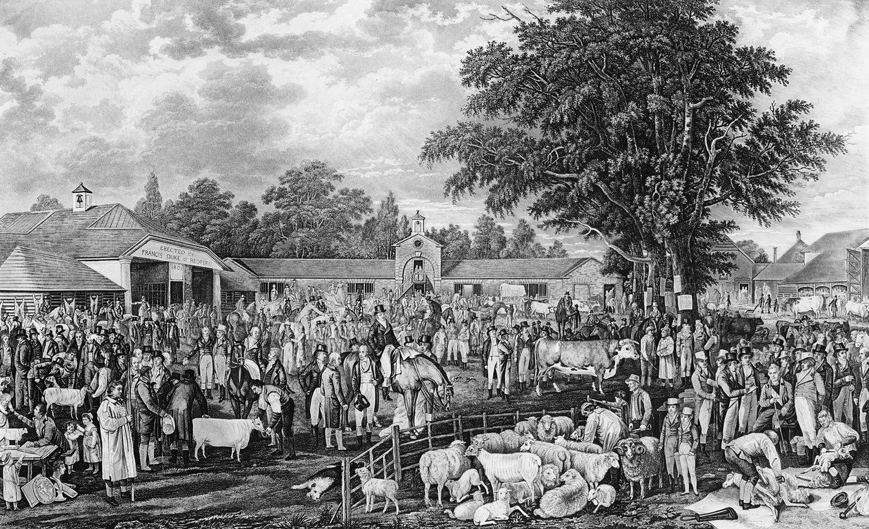 Tonte des moutons à Woburn, gravé par Thomas Morris, 1811 - George Garrard