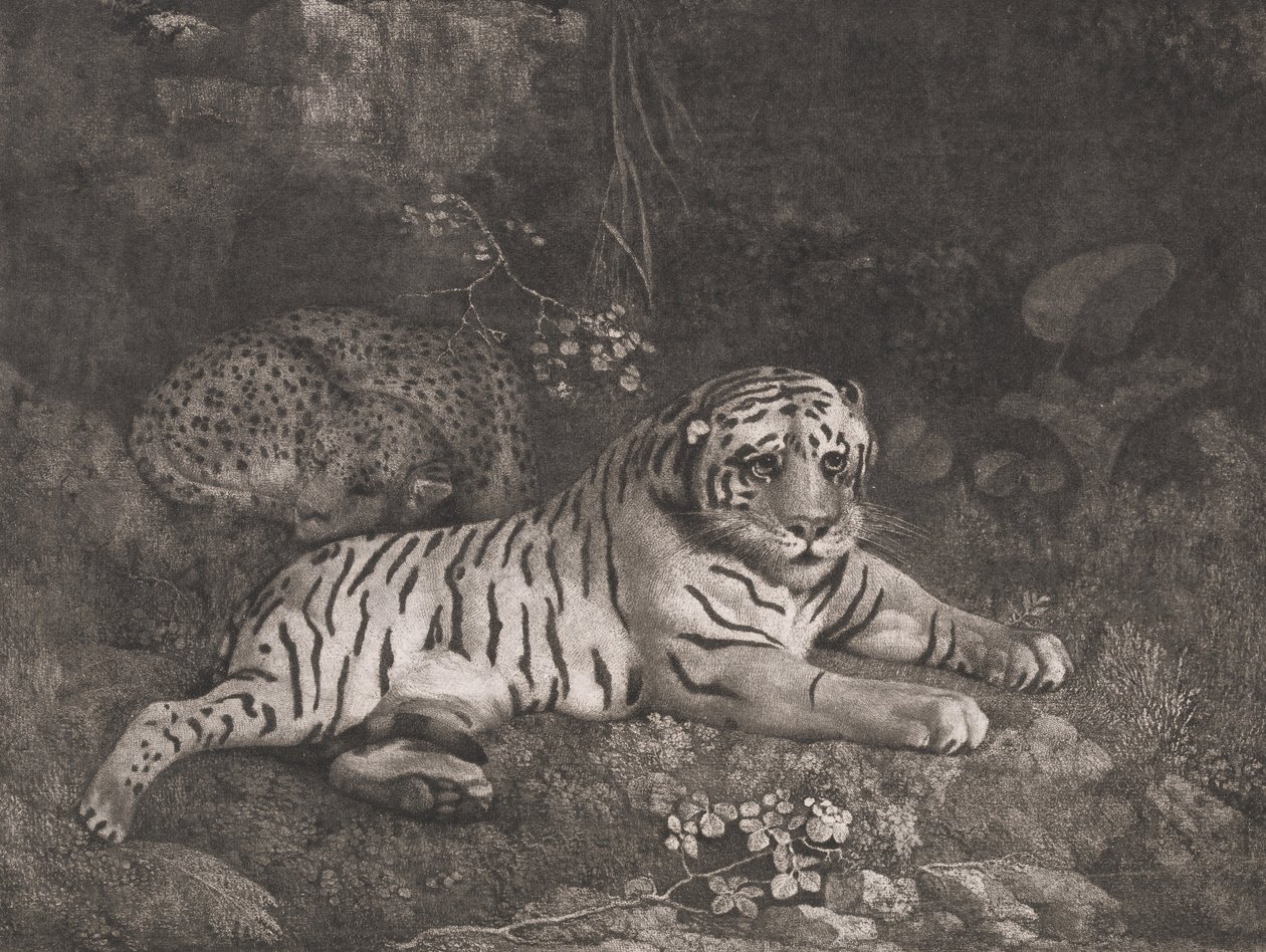Un tigre et un léopard endormi - George Stubbs