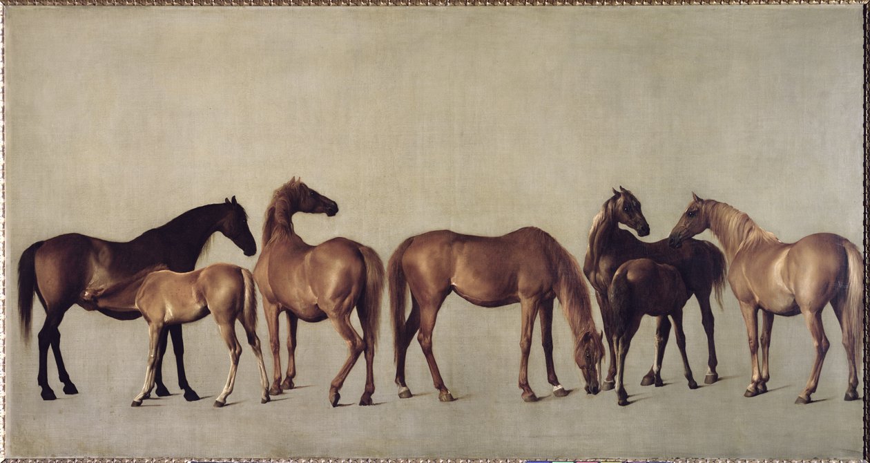 Juments et poulains sans arrière-plan, vers 1762 - George Stubbs