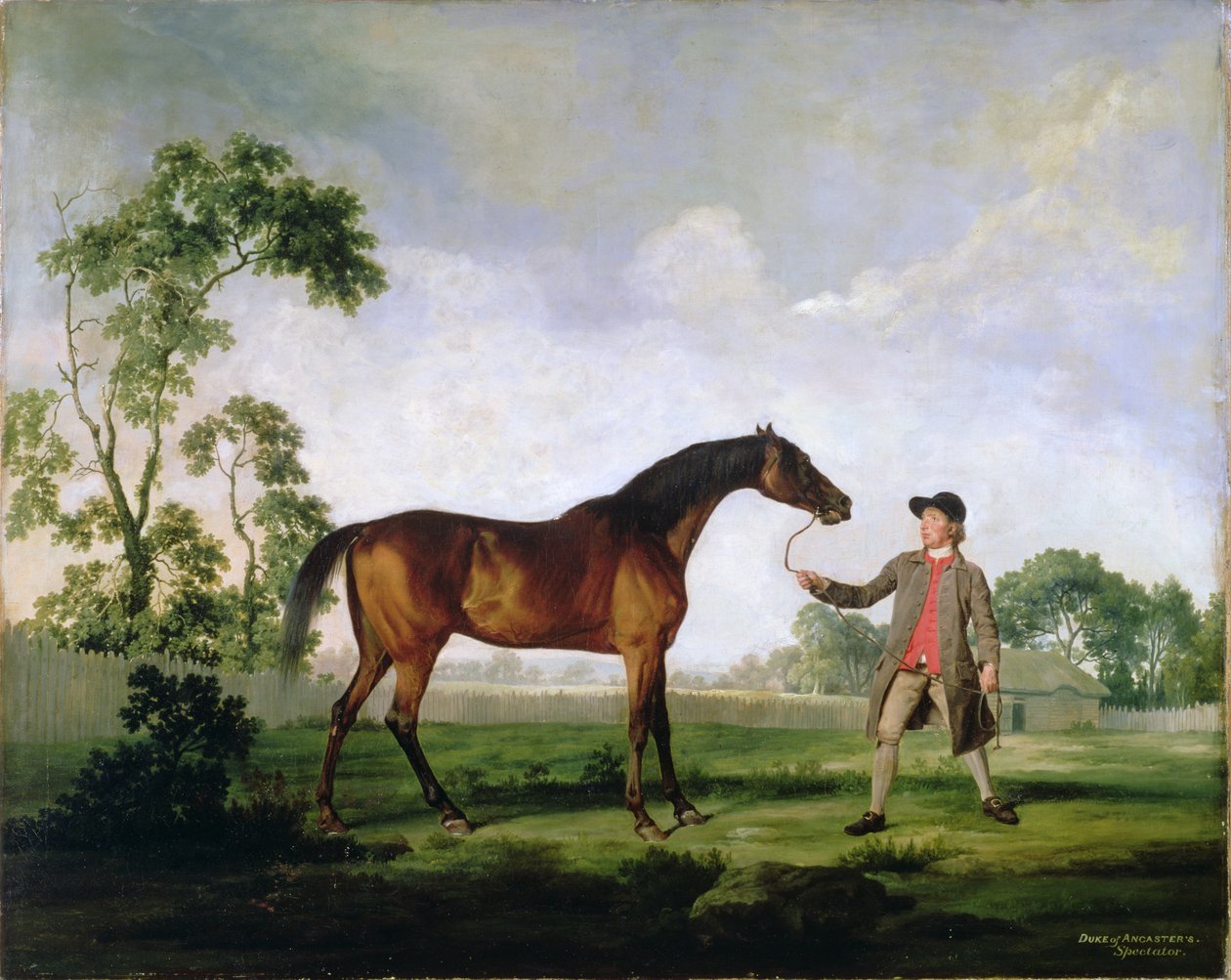 Le cheval bai du Duc d