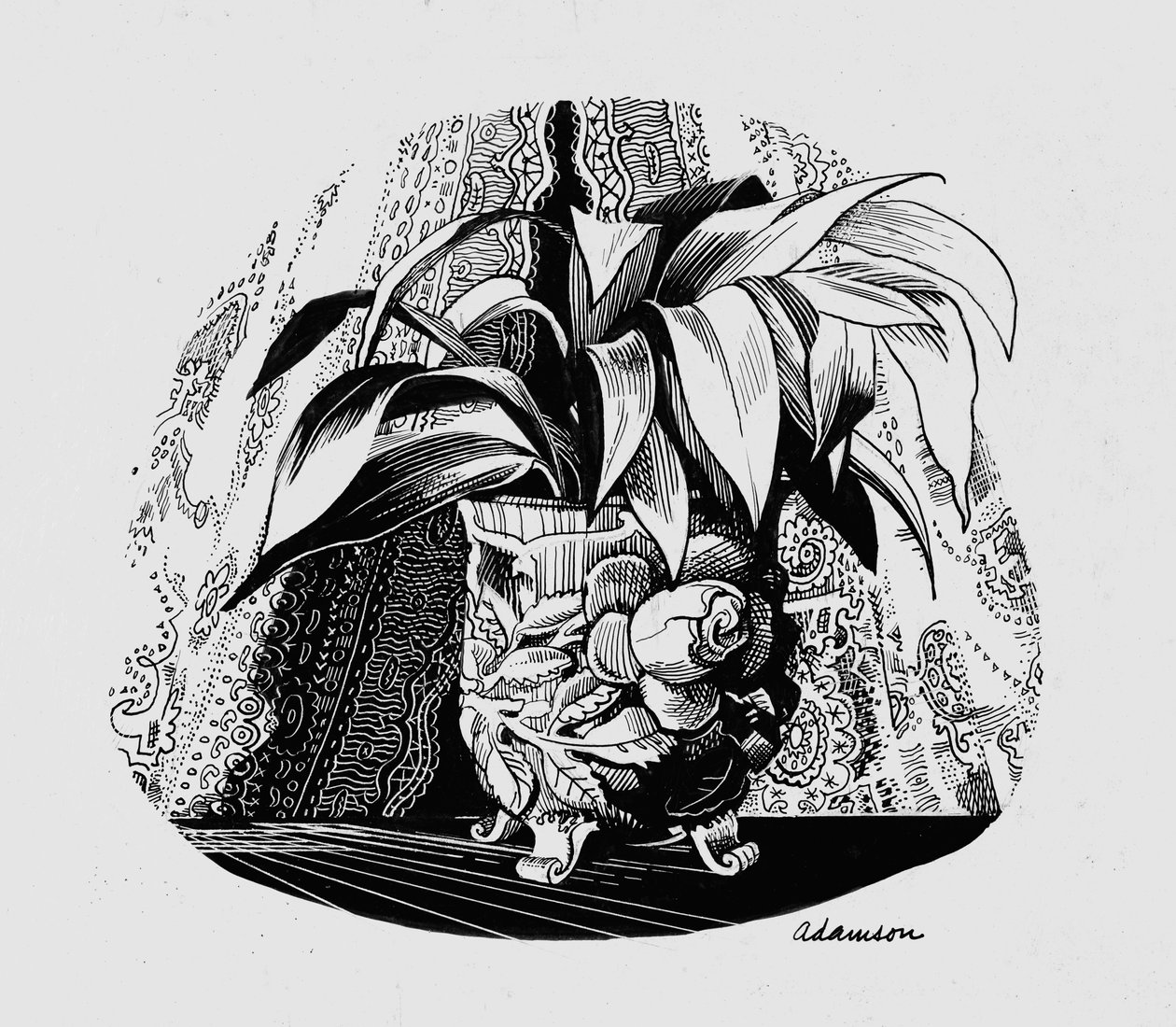 Aspidistra dans un bol - George Adamson