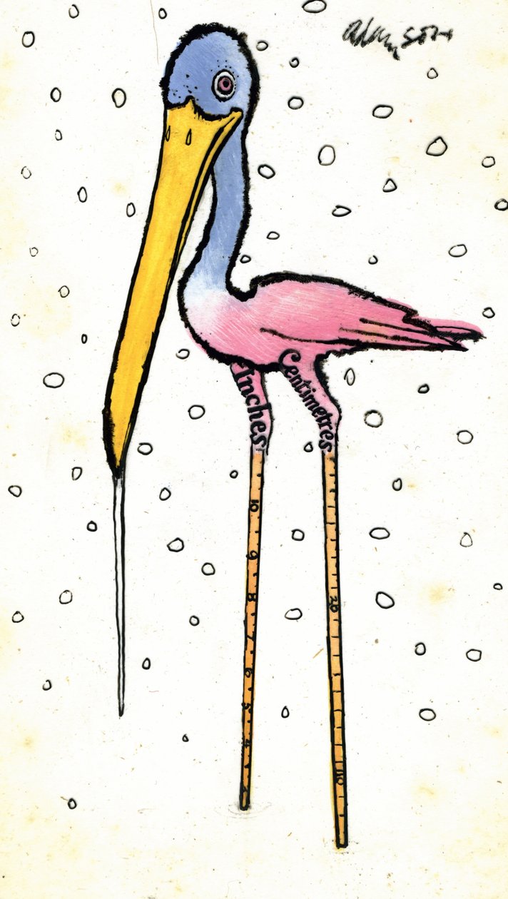 Cigogne avec des jambes calibrées - George Adamson