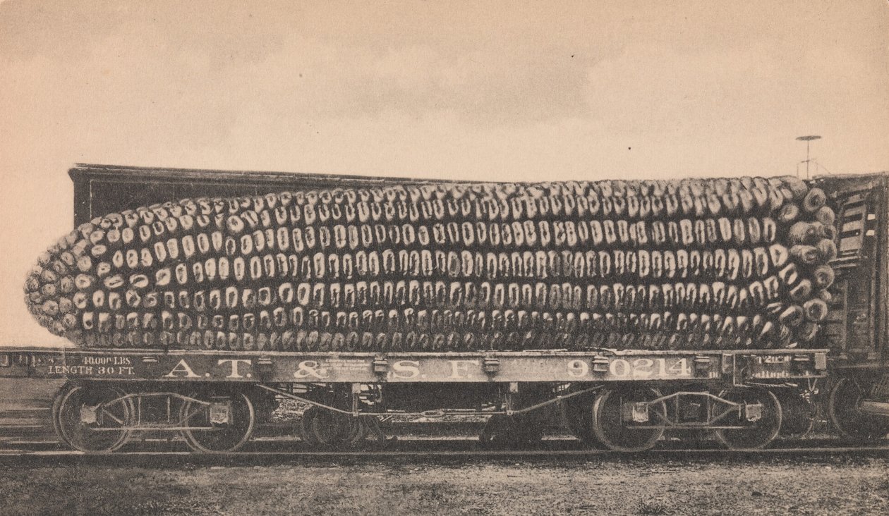 Un wagon de maïs du Texas, vers 1910 - George B. Cornish