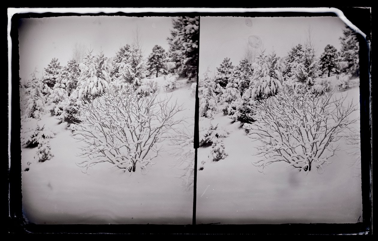 Parc Prospect, Brooklyn, vers 1872-87 - George Bradford Brainerd