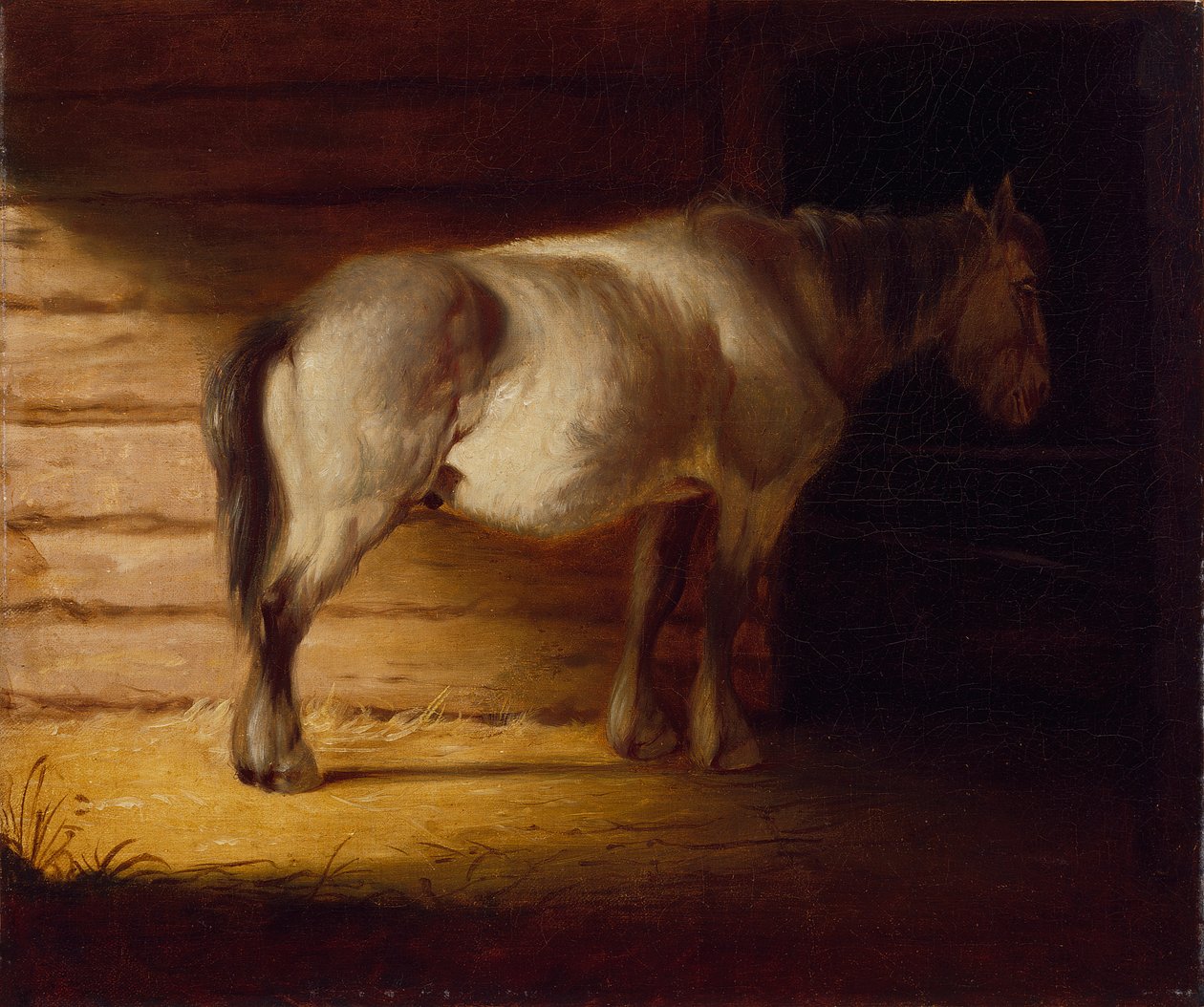 Vieux cheval de campagne - George Caleb Bingham