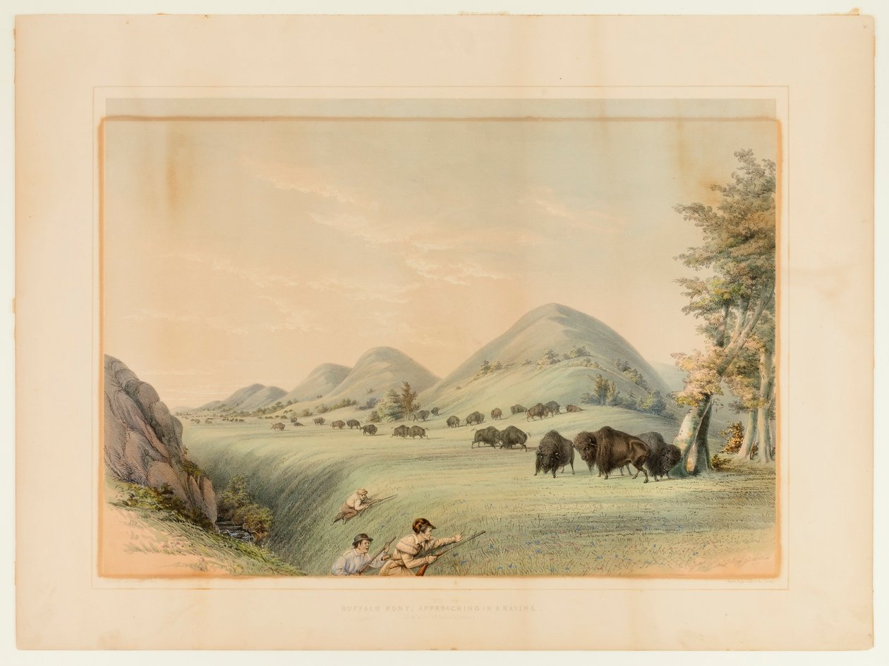 Chasse au bison ; approche dans un ravin--no. 11 - George Catlin