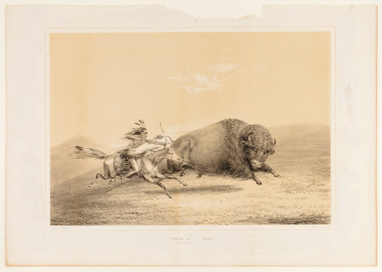 Chasse aux bisons, Chase--no. 5 - George Catlin
