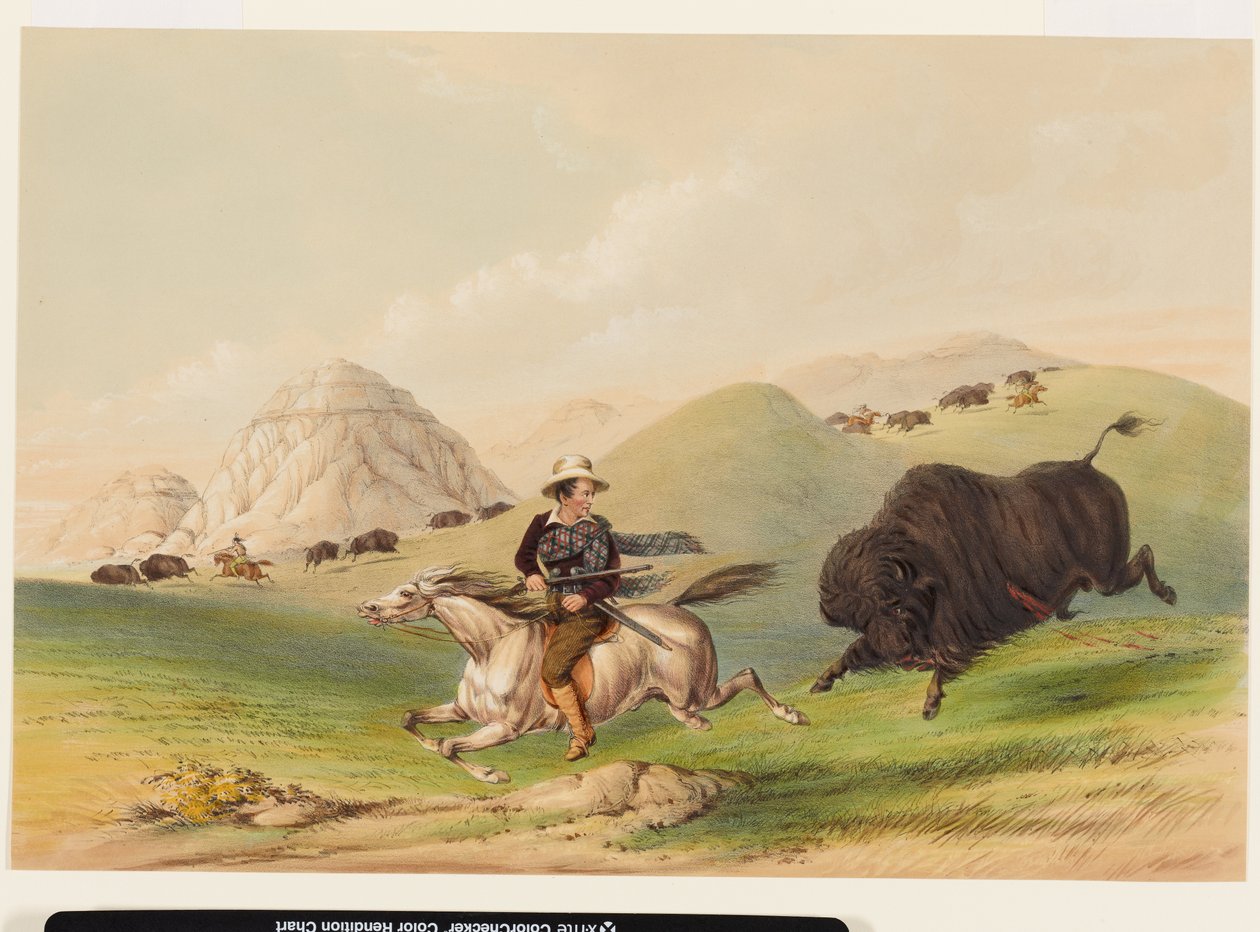 Chasse au bison, les repoussant - George Catlin