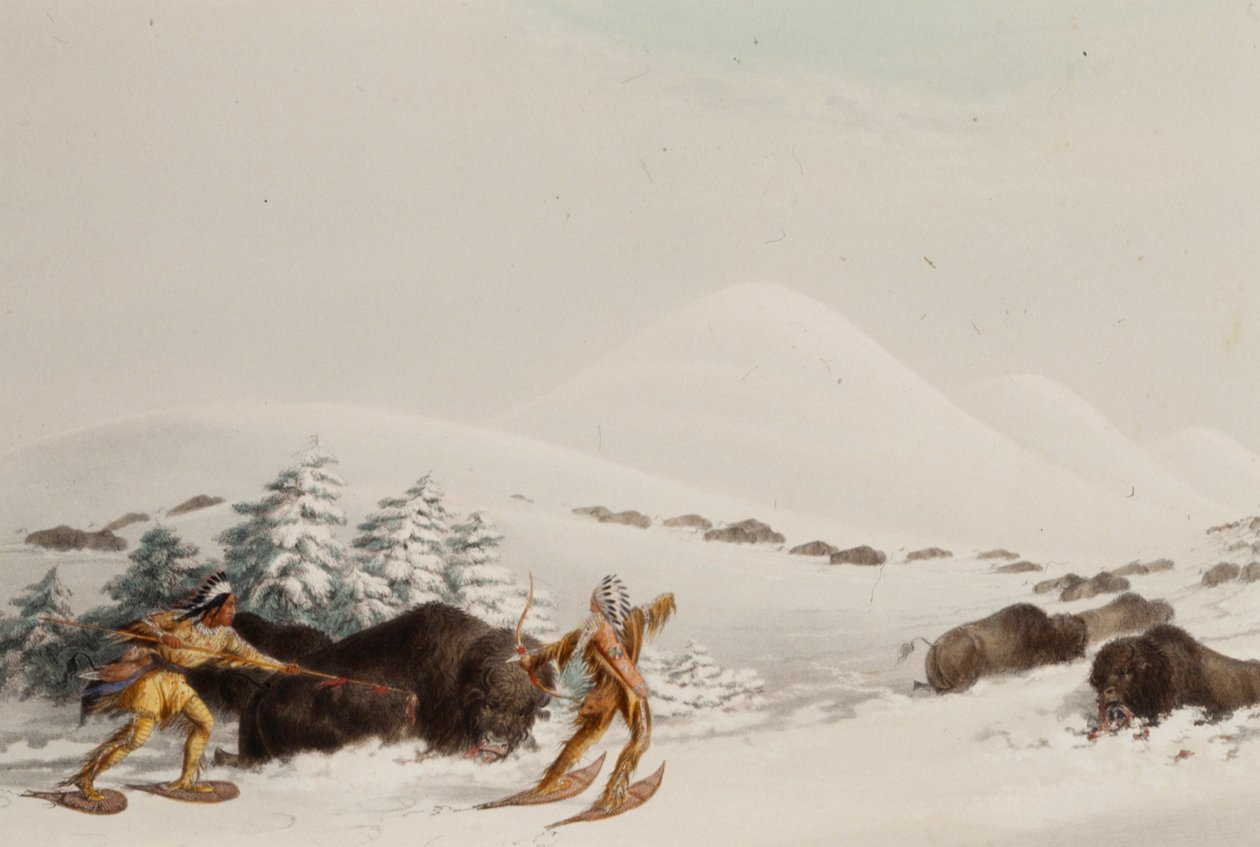 Chasse au bison, en raquettes - George Catlin