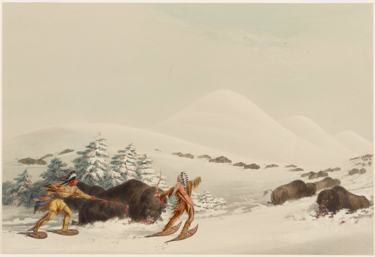 Chasse au bison, en raquettes - George Catlin