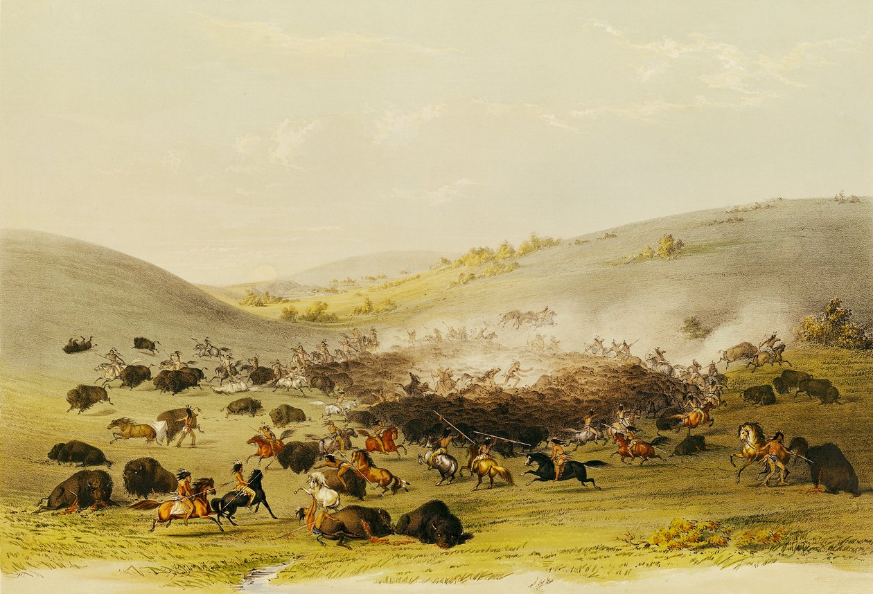 Chasse au bison, encerclement, c.1832 - George Catlin