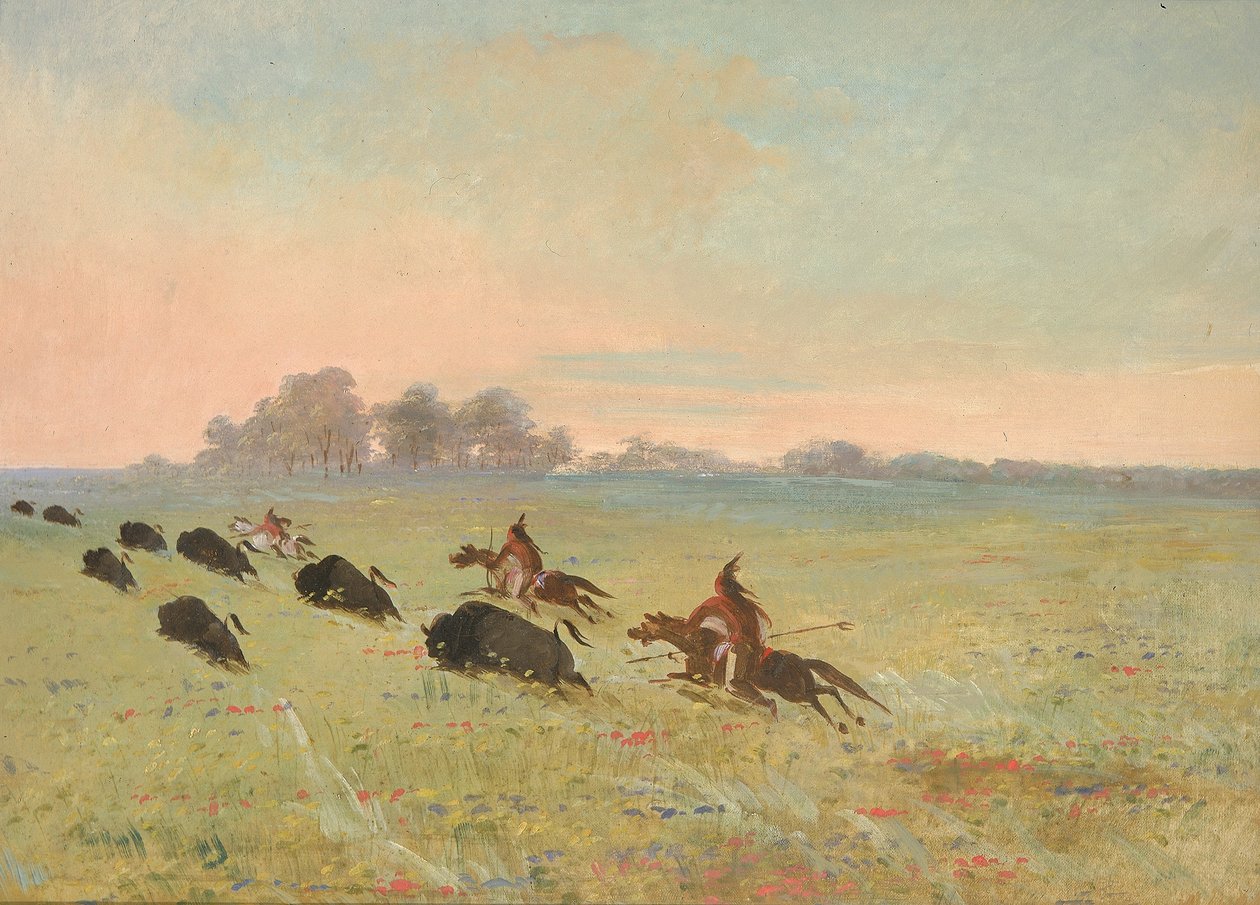 Les Indiens Comanches chassent les bisons - George Catlin