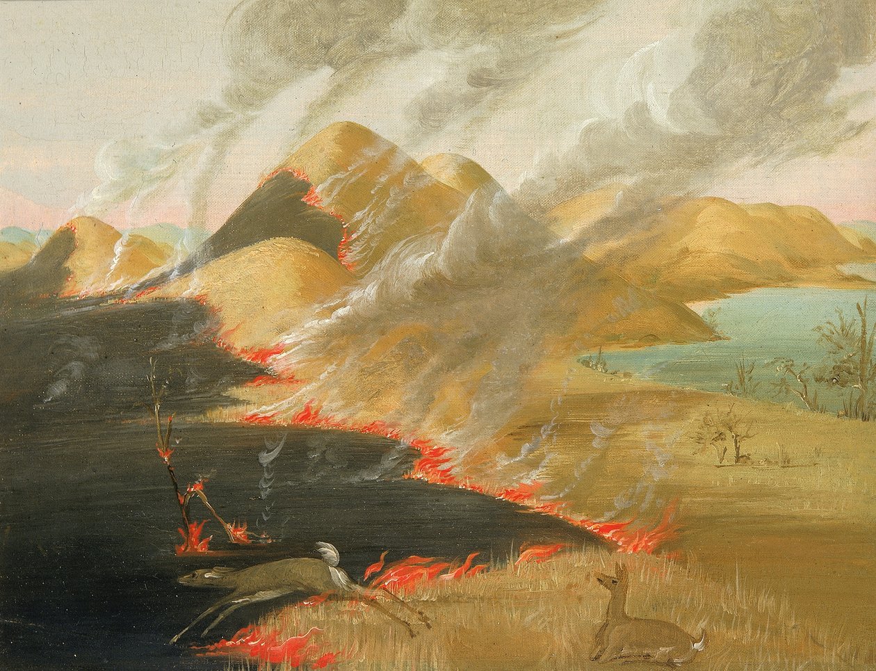 Brûlage des prairies - George Catlin