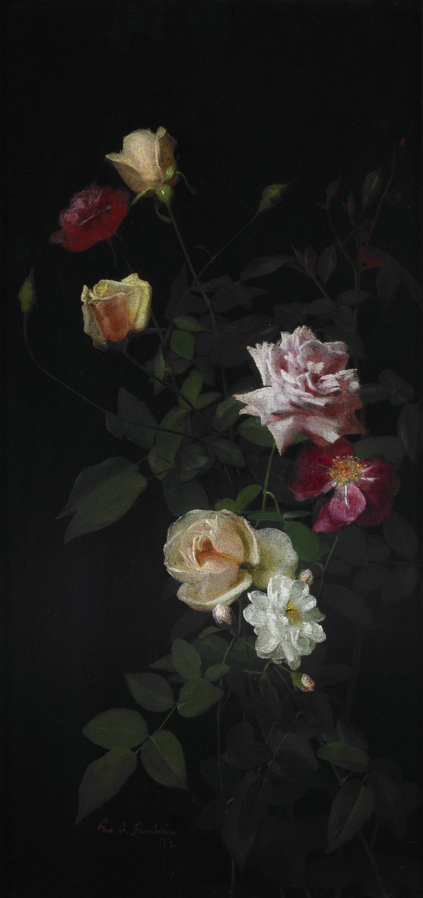 Nature morte - George Cochran Lambdin