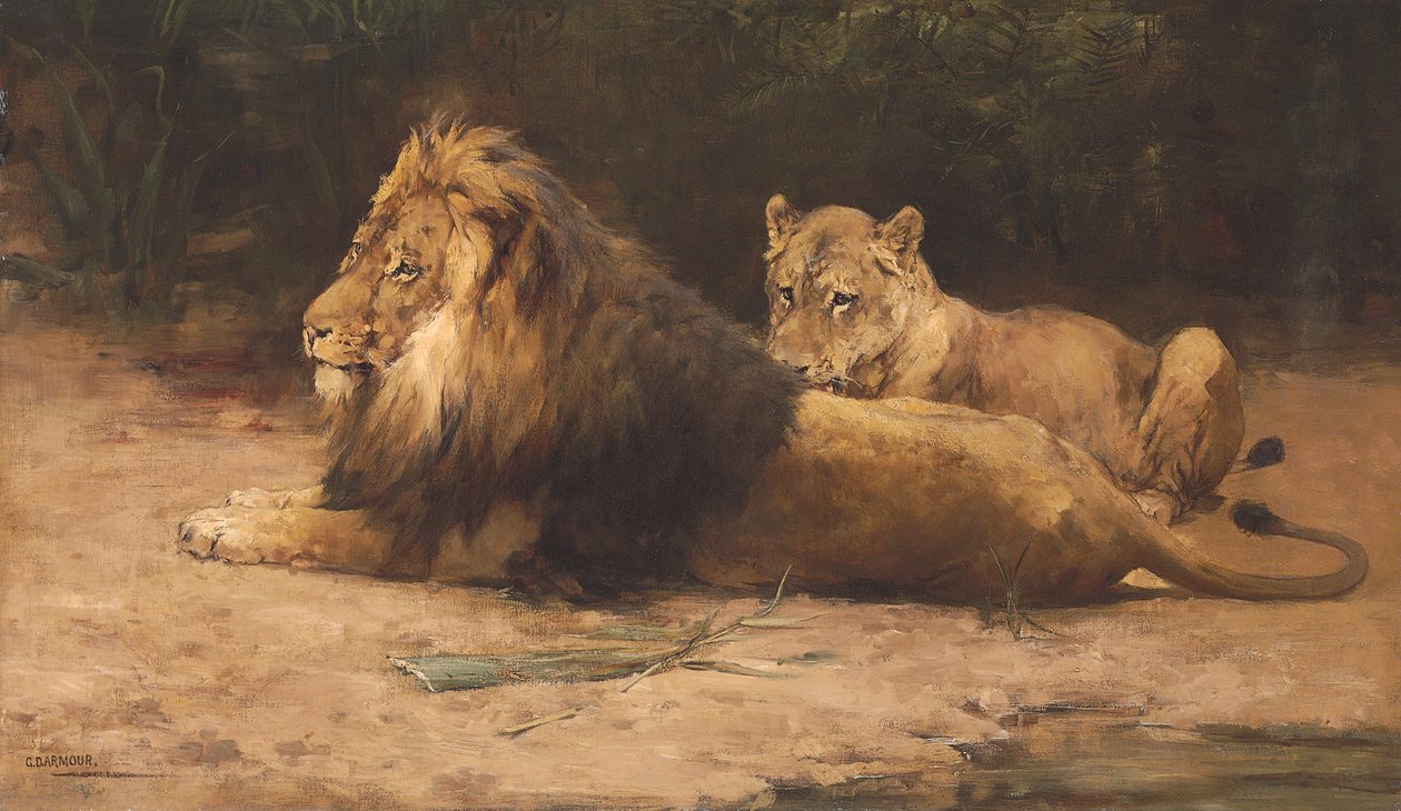 Lion et lionne au repos - George Denholm Armour
