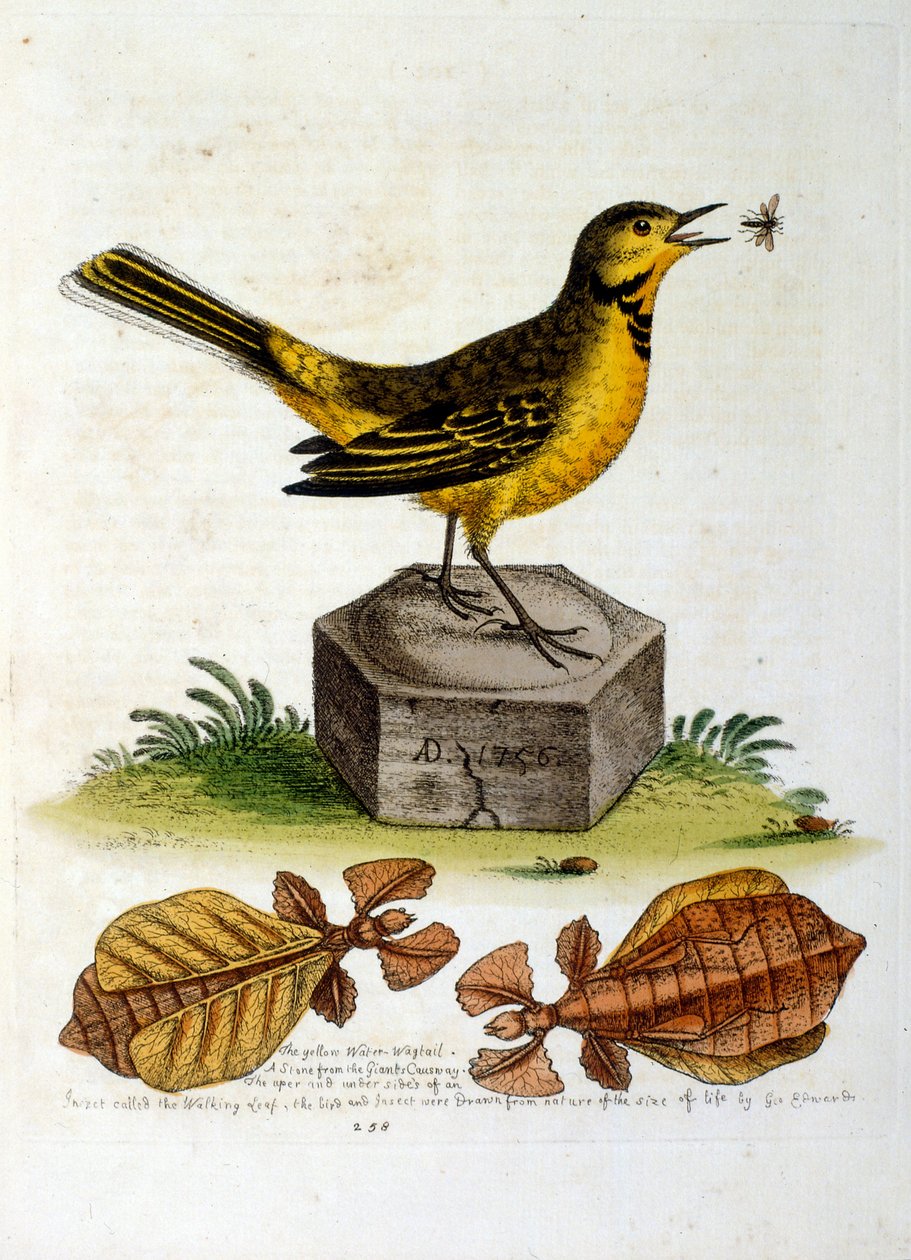 Illustration à l