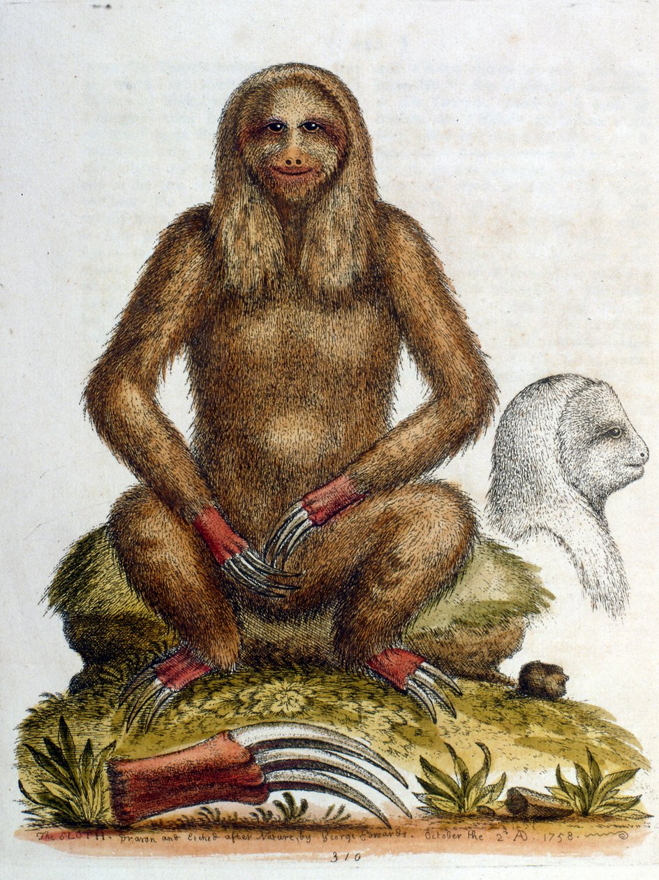 Illustration à l