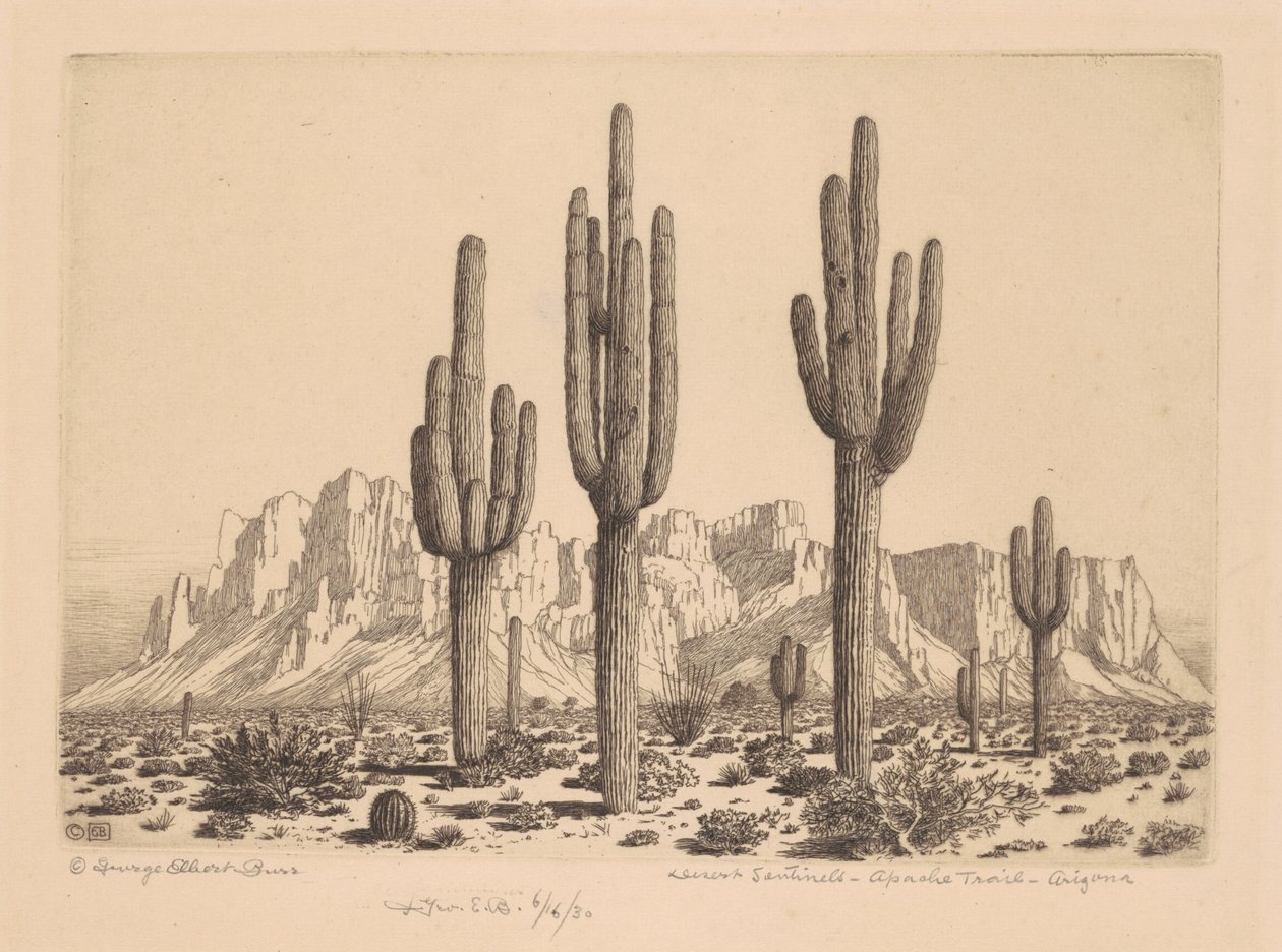 Sentinelles du désert, Apache Trail, Arizona - George Elbert Burr