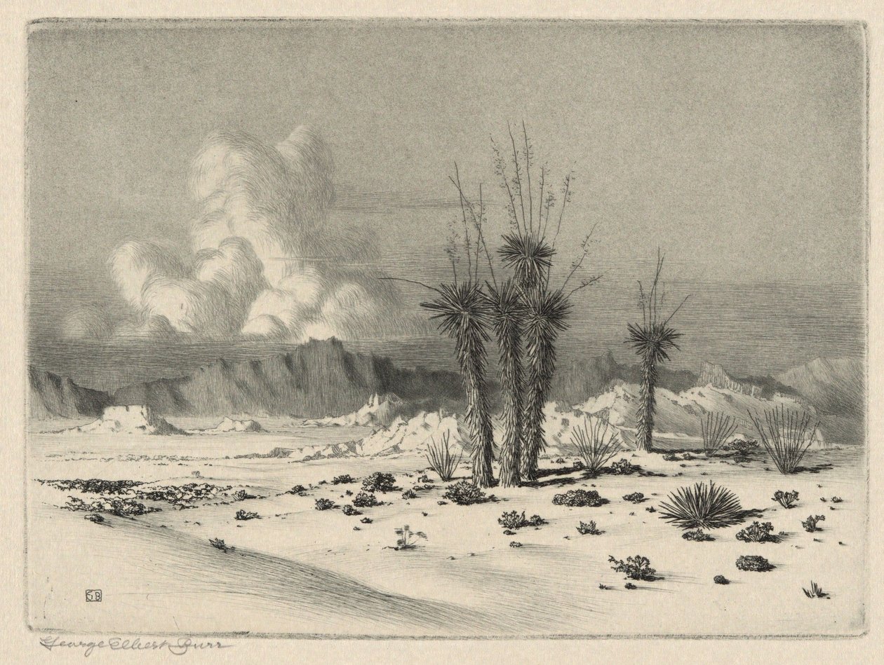 Soir, Arizona - George Elbert Burr