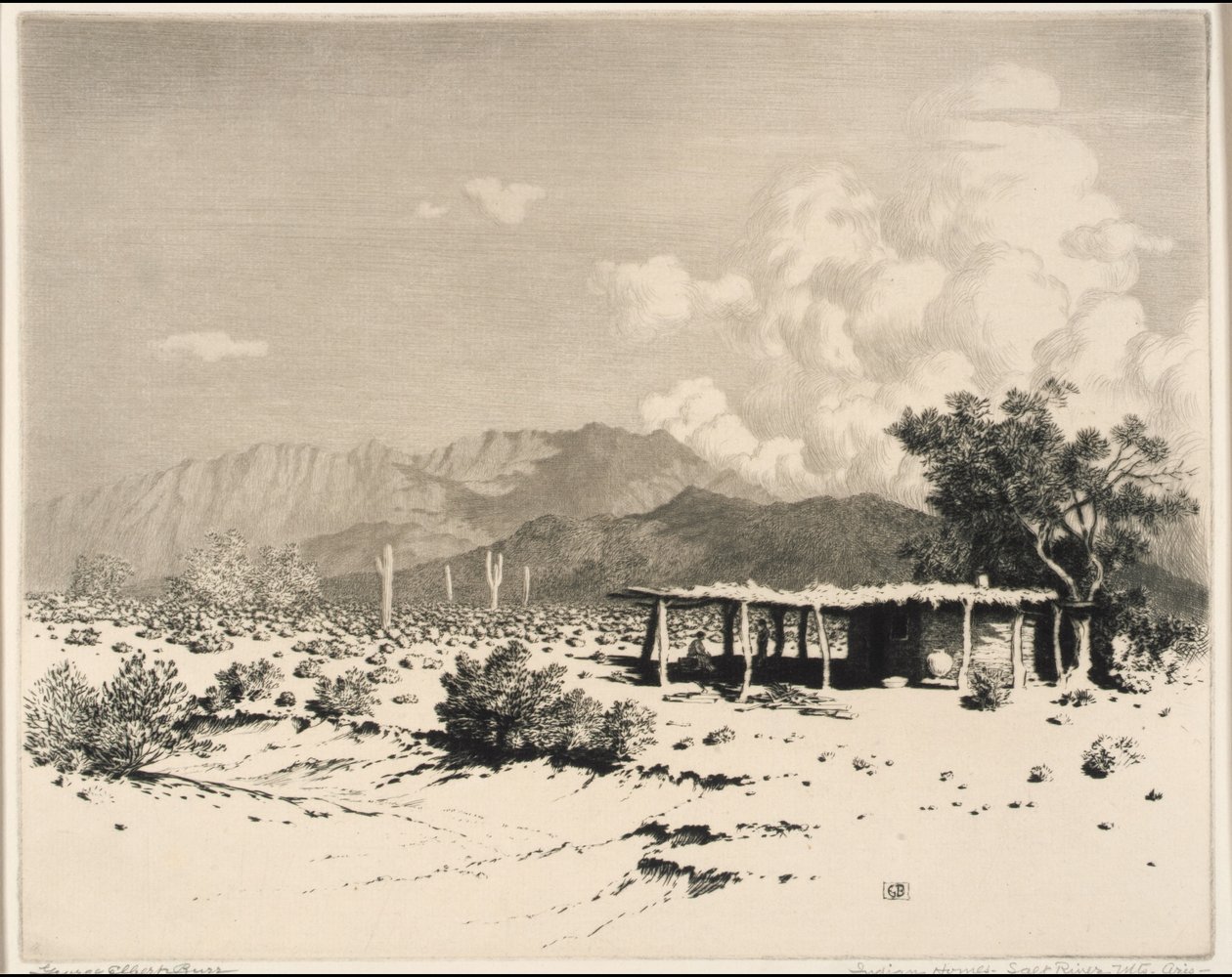 Indian Homes, montagnes de Salt River, Arizona - George Elbert Burr