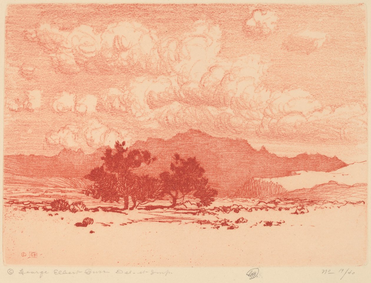 Arbres de Palo Verde - George Elbert Burr