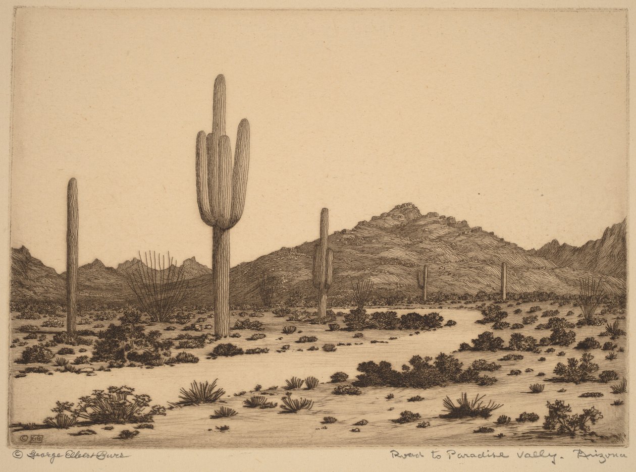 En route vers Paradise Valley, en Arizona - George Elbert Burr