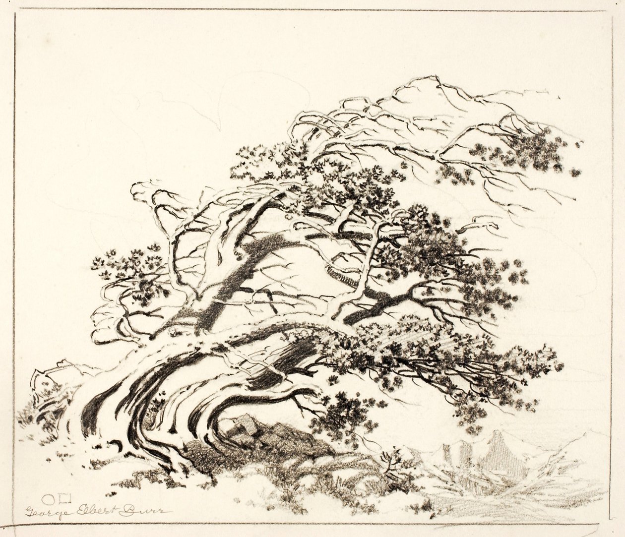 Esquisse pour les pins dans le vent, Estes Park - George Elbert Burr