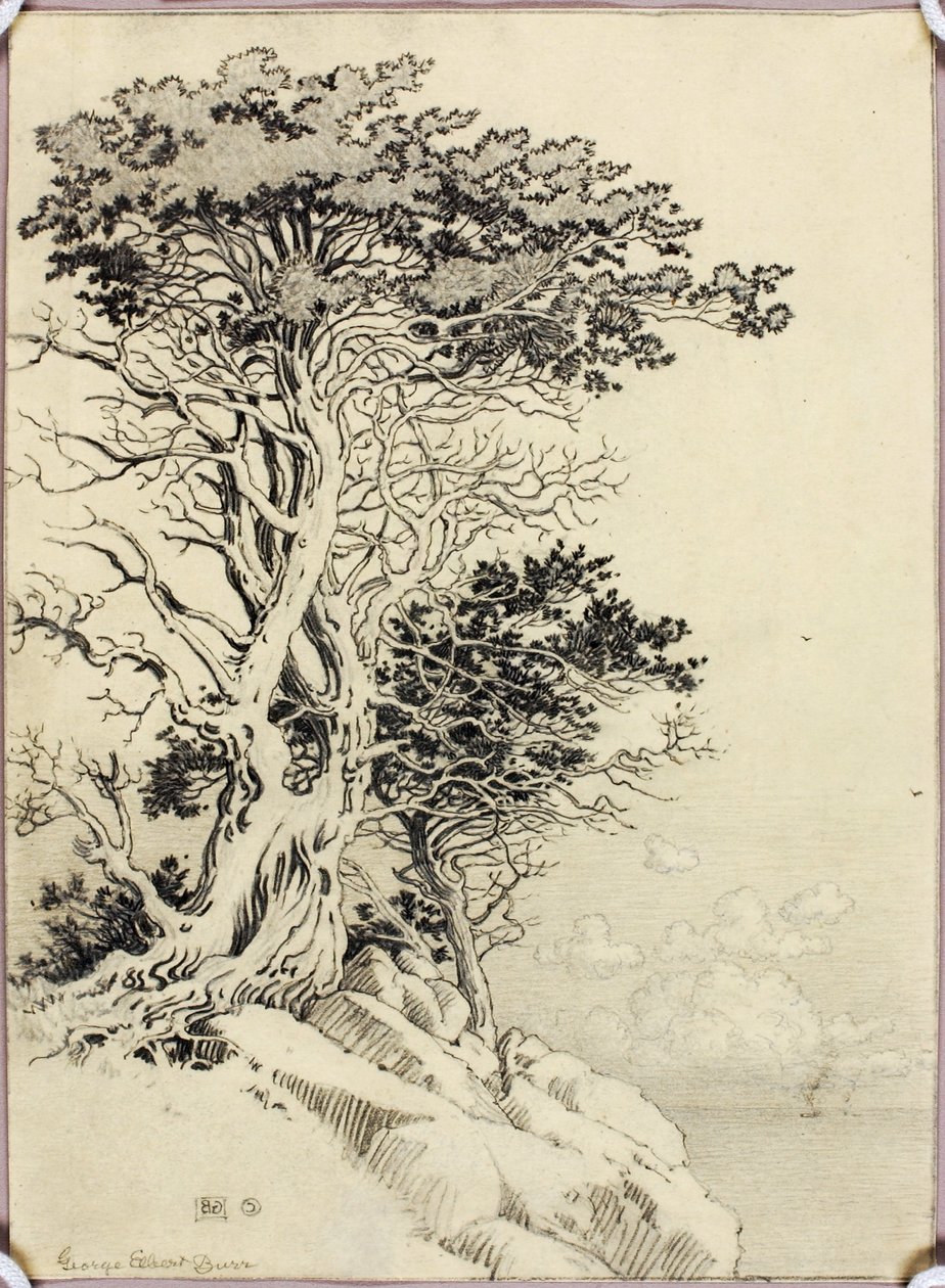 Sans titre (dessin pour impression) - George Elbert Burr