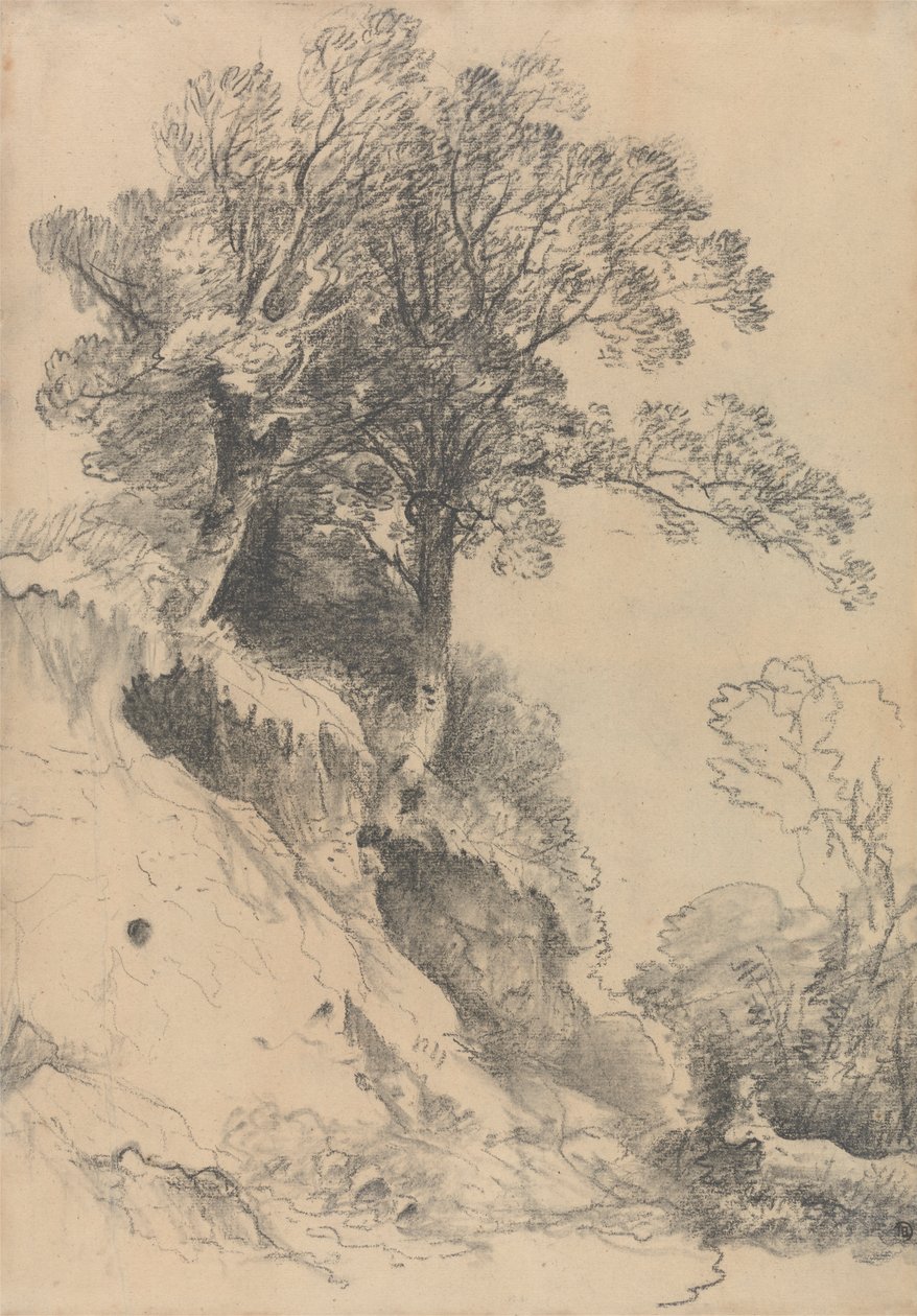 Arbres sur une Berge Érodée - George Frost