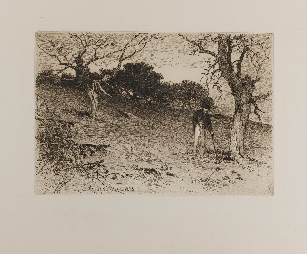 Un vieux verger de Nouvelle-Angleterre - George H. Smillie