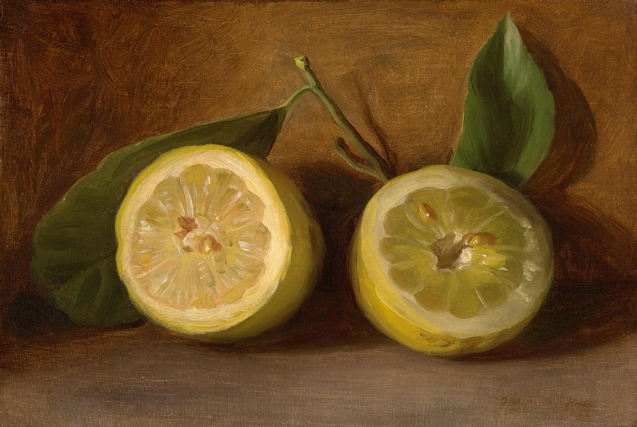 Citrons - George Henry Hall