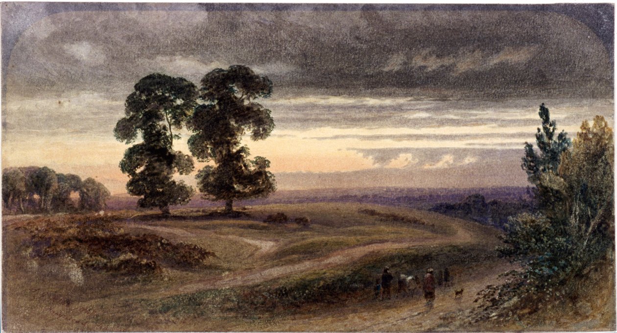 Vue générale de Hampstead, Londres, 1849 - George Henry Hine