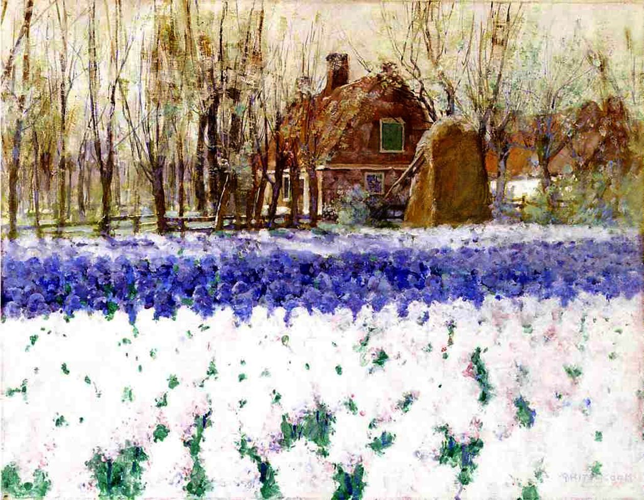 Un cottage et un champ de jacinthes - George Hitchcock