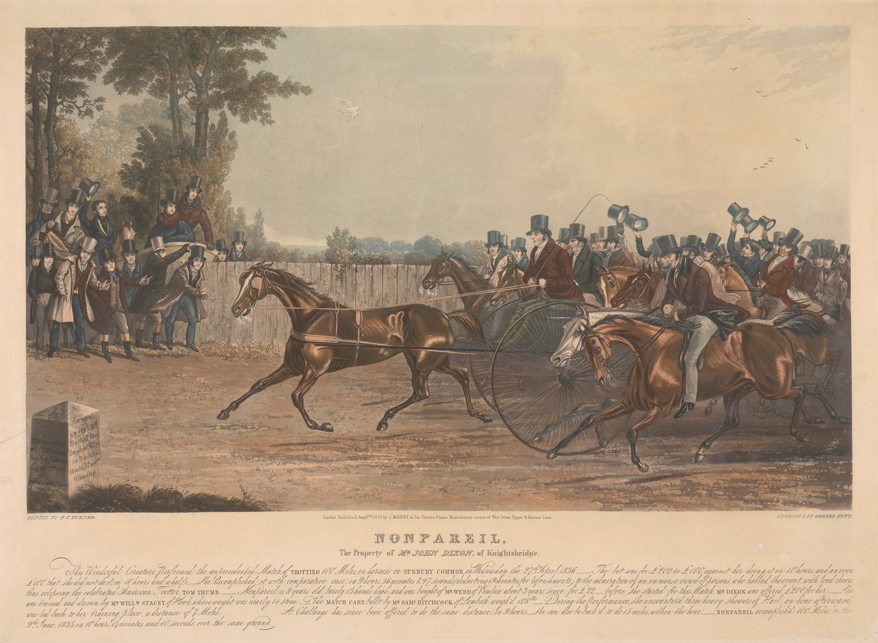 "Nonpareil" / La propriété de M. John Dixon de Knightsbridge / Cette créature merveilleuse, a réalisé le match sans précédent, de trotter 100 miles en harnais sur Sunbury Common, le mercredi 27 avril 1836... - George Hunt