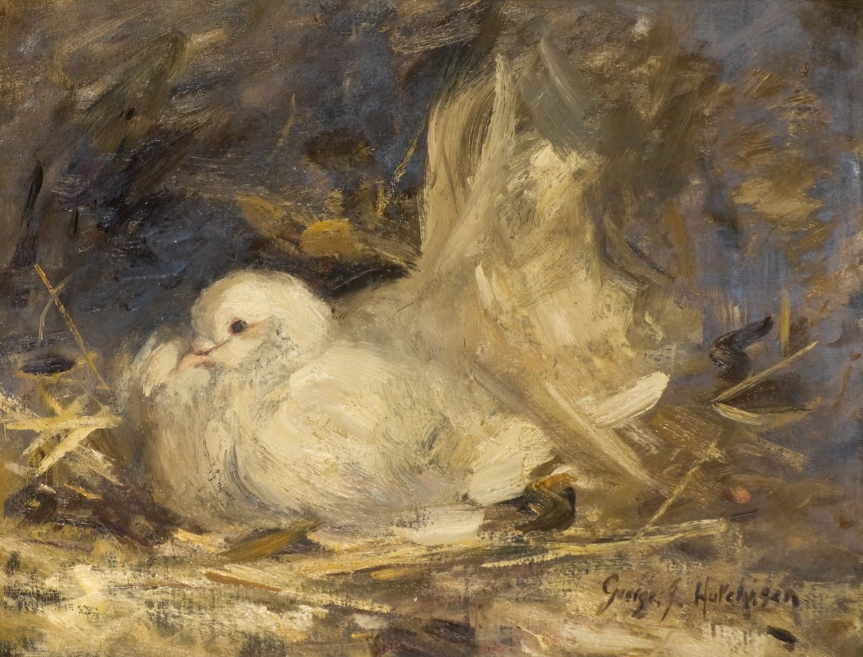 La colombe couveuse - George Jackson Hutchison