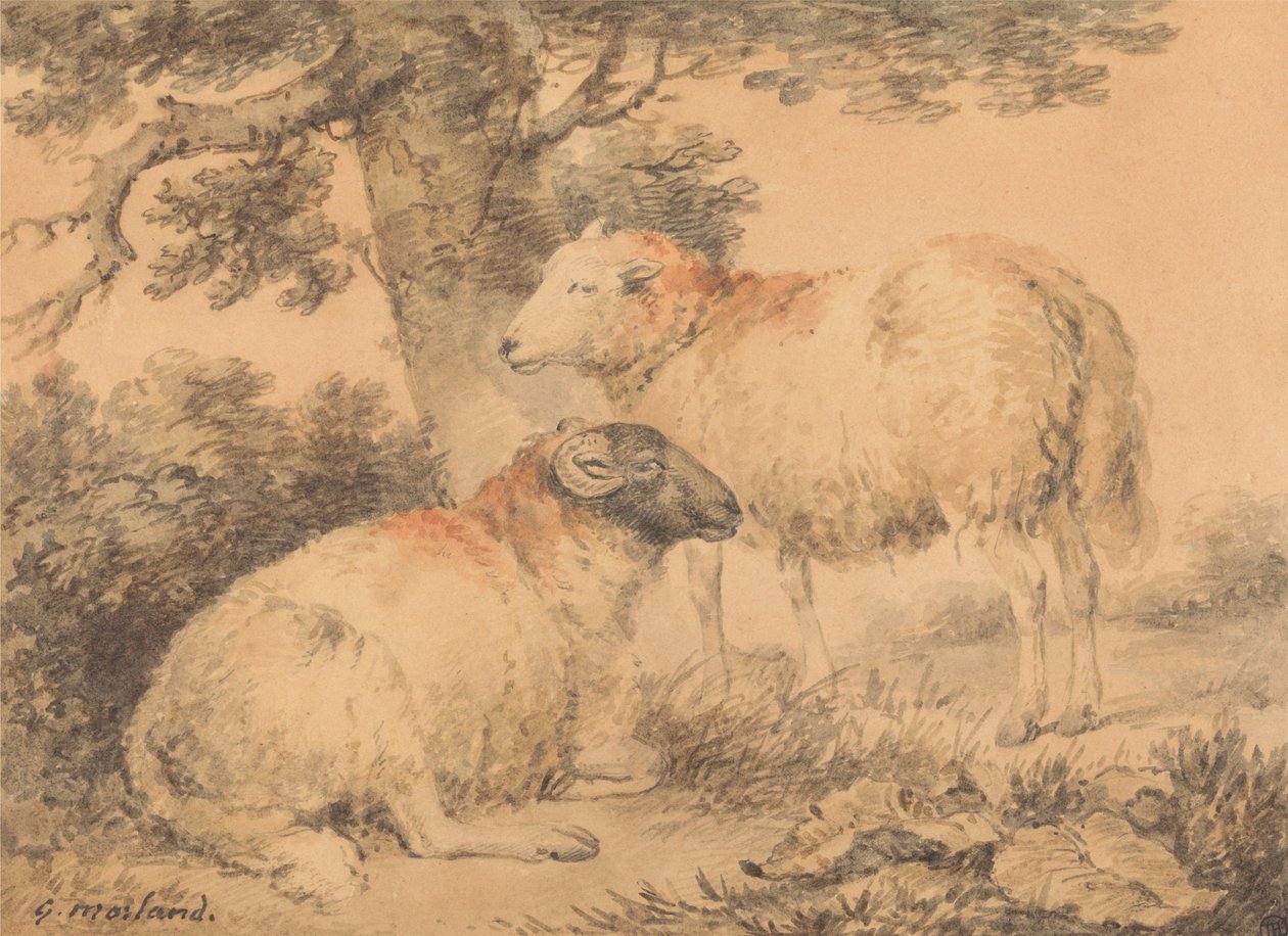 Un bélier et une brebis dans un paysage - George Morland