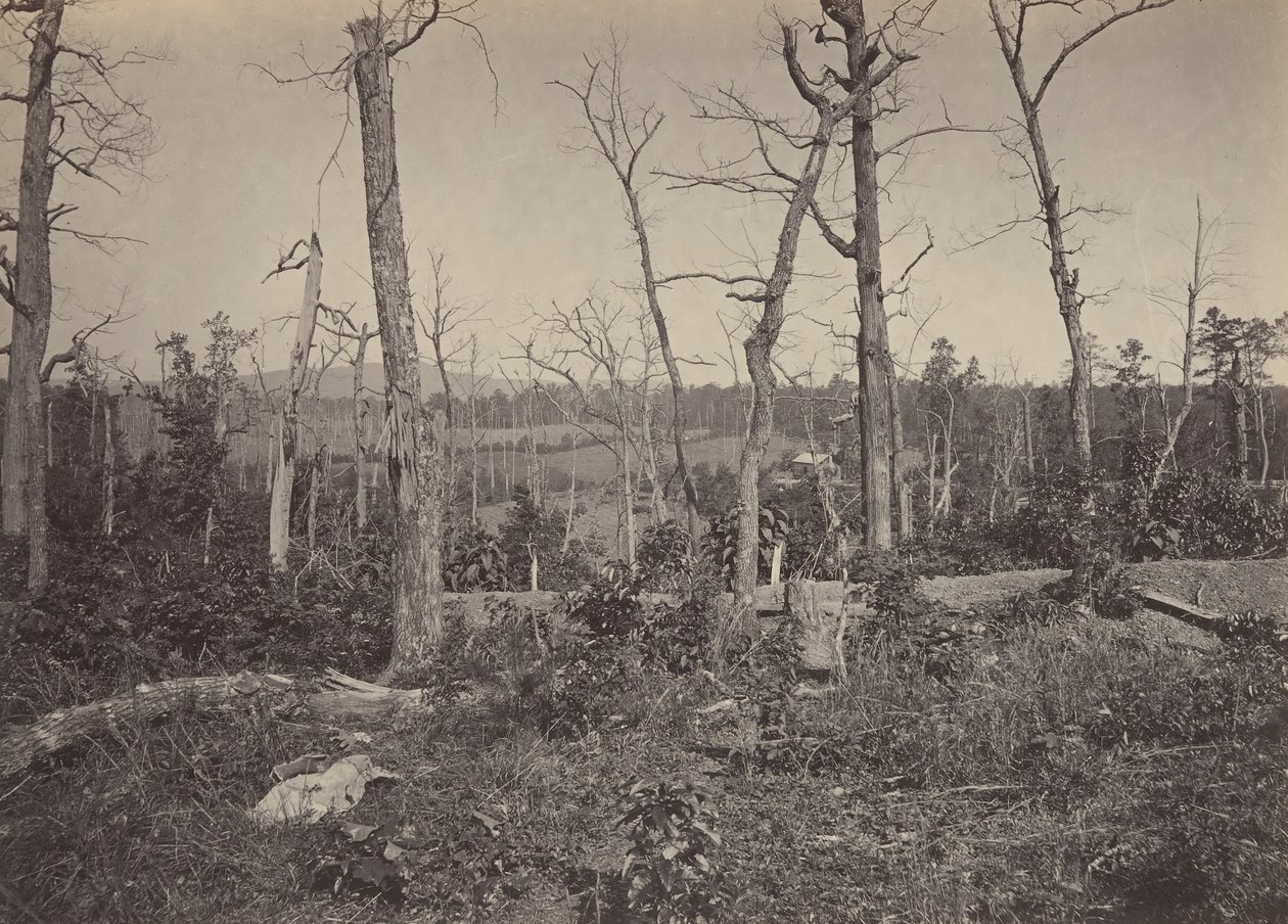 Champ de bataille de Resacca, Géorgie n° 3, années 1860 - George N. Barnard