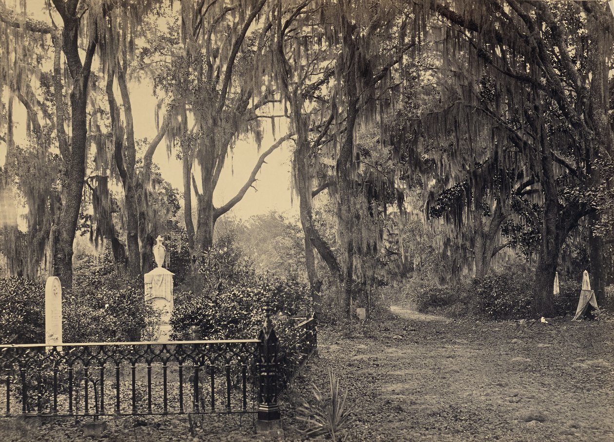 [Buen-Ventura, Savannah, Géorgie] - George N. Barnard