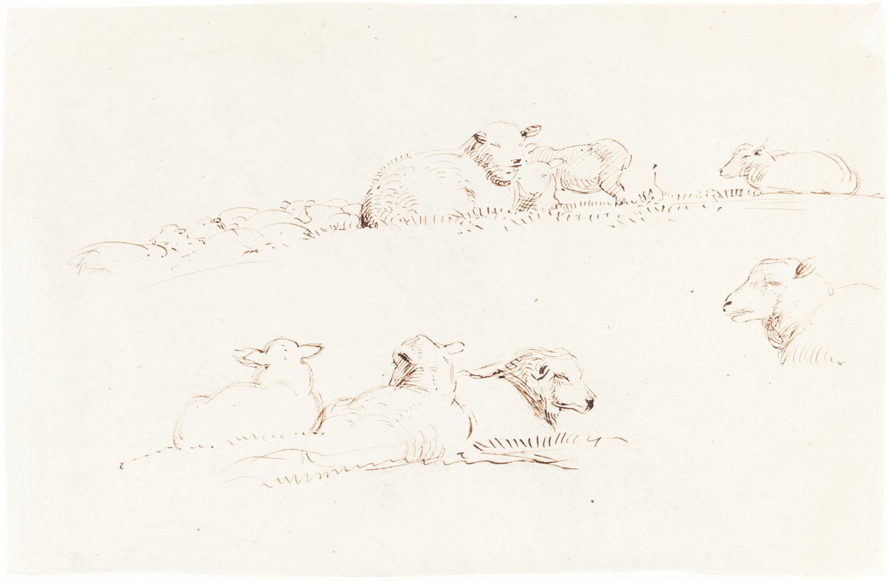 Études de moutons dans un pâturage - George Richmond