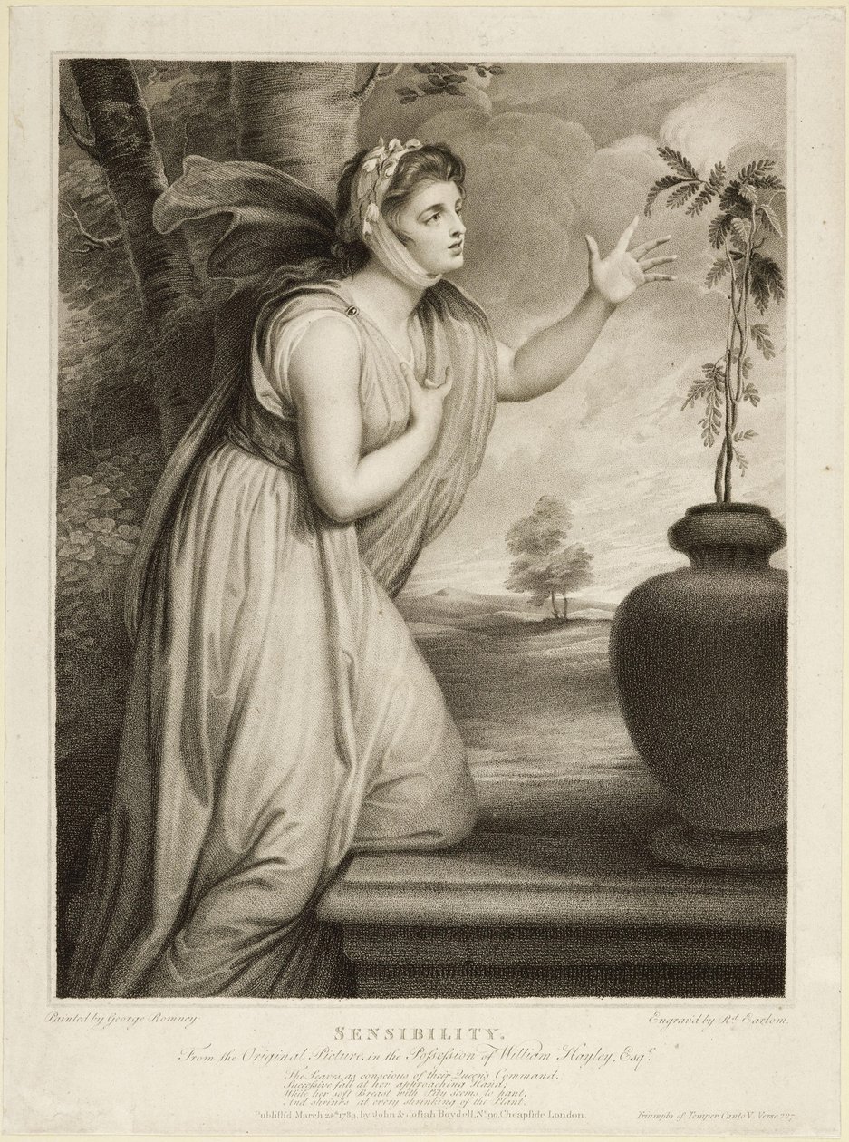 Sensibilité - George Romney