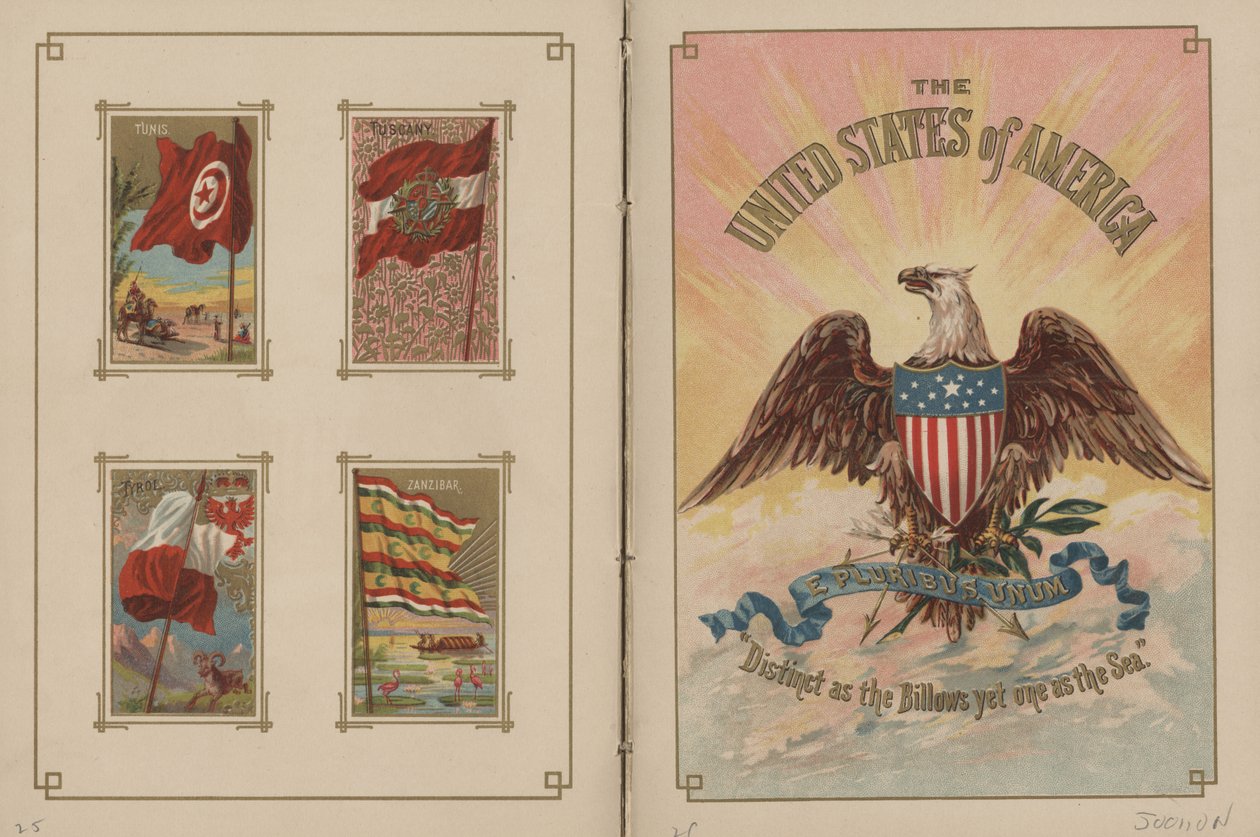 Drapeaux de toutes les nations et des États-Unis d