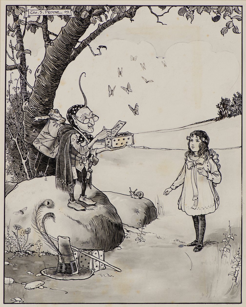 Boîte magique de papillons - George Salmond Peddie