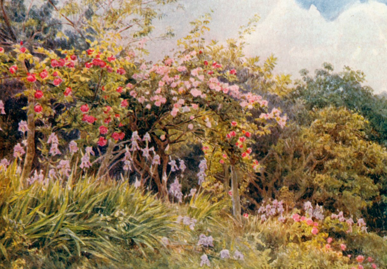 Roses et Iris (lithographie couleur) - George Samuel Elgood